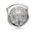 Metalalic Crest Pin Badge