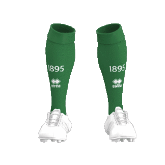 **PRE ORDER** 2025-26 Home Socks