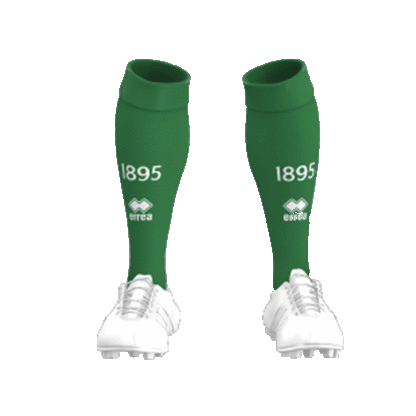 **PRE ORDER** 2025-26 Home Socks